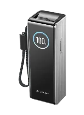 Павербанк EcoFlow RAPID Power Bank з кабелями 25000mAh сріблястий 77968 фото