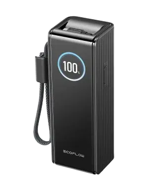 Павербанк EcoFlow RAPID Power Bank з кабелями 25000mAh чорний 77969 фото