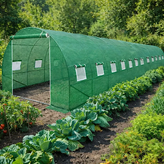 Садовая теплица 36 м&sup2; (12 х 3 х 2 м) с армированной пленкой 140 г/м&sup2; UV4, с окнами, труба 25 мм, Зеленая 78394 фото